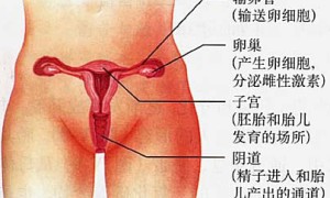 potman相关阅读