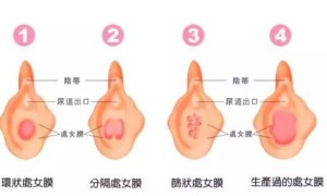 language laboratory相关阅读