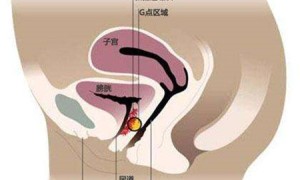 eulogium相关阅读