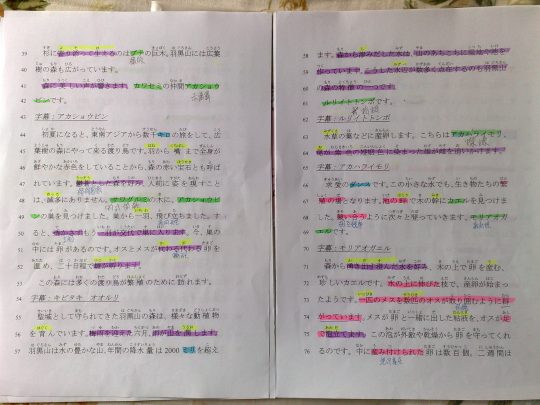 29 岁才开始学日文的日文老师── Sachiko 幸子老师专访