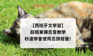 jaina相关阅读