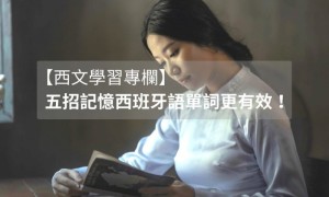wivern相关阅读