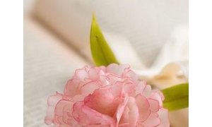 Benedict相关阅读