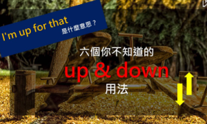 down相关阅读