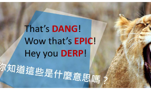 epic相关阅读