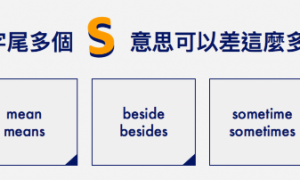 somitic相关阅读