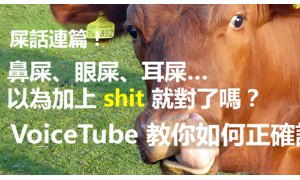 bridled相关阅读