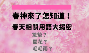 polarise相关阅读