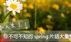 spring相关阅读