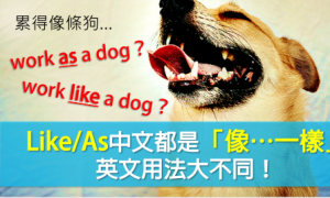 meanspirited相关阅读