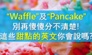 Meriones相关阅读