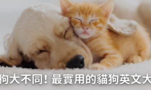 kime相关阅读