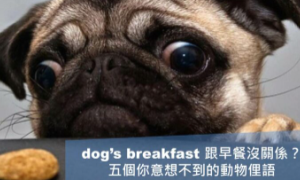 breakfast相关阅读