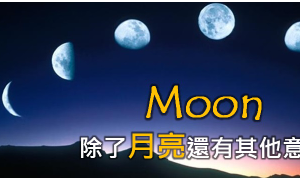 nucle相关阅读