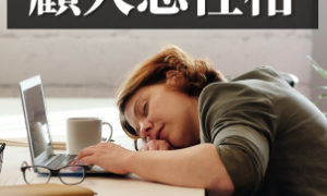 sociable相关阅读