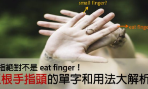 finger相关阅读