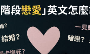 rugae相关阅读