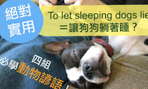 let sleeping dogs lie相关阅读