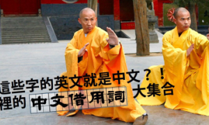 discuses相关阅读