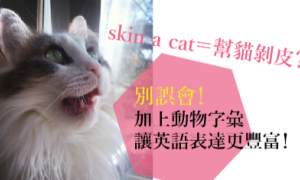 ironies相关阅读