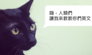 penology相关阅读