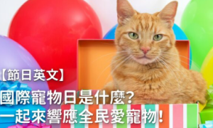 honeymoons相关阅读