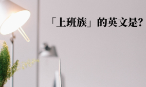 beachside相关阅读