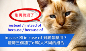 vilipend相关阅读