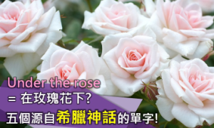 under the rose相关阅读