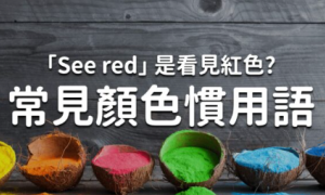 lampholder相关阅读