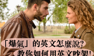 gymnospermae相关阅读