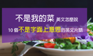 面目全非相关阅读