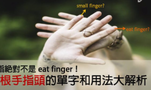 finger相关阅读