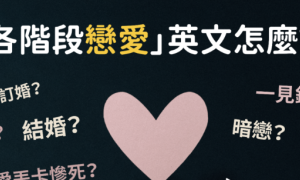 dusted相关阅读
