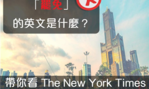 York相关阅读