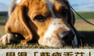 配电箱相关阅读
