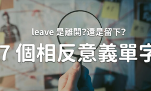 leave相关阅读