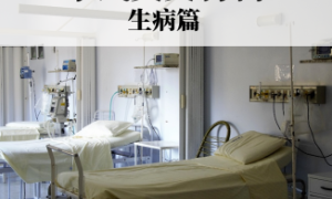 geniculate相关阅读
