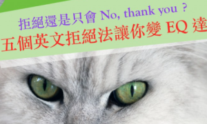 meat相关阅读