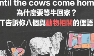 until the cows come home相关阅读