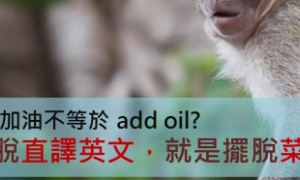 linger相关阅读