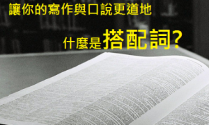 amender相关阅读