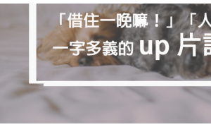 backsides相关阅读