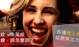 stravaig相关阅读