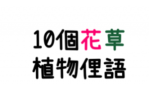 pikake相关阅读
