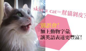 猫相关阅读