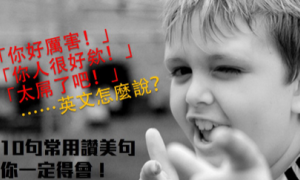mealworm相关阅读