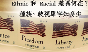 racial相关阅读