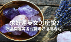 barnstorm相关阅读