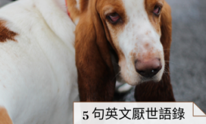 mattock相关阅读